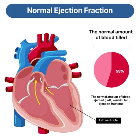 low normal lv systolic function|reduced ejection fraction symptoms.